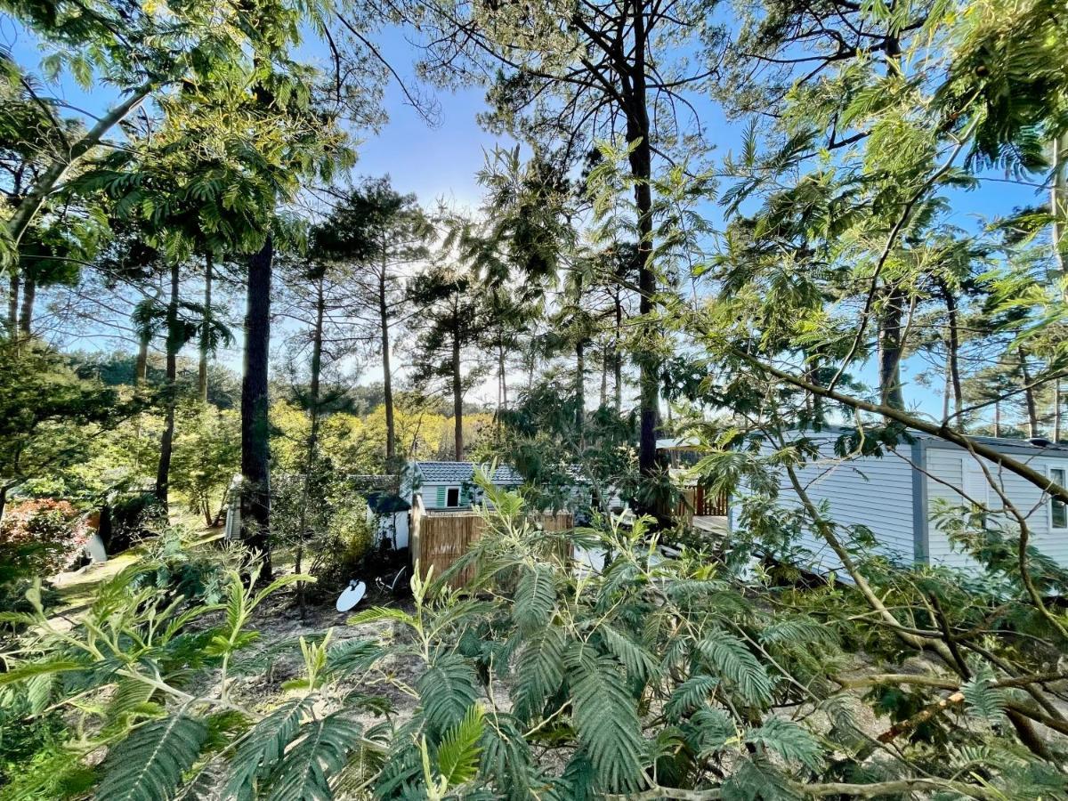 Tiny House Famille Nature Cap Ferret Claouey Exterior photo